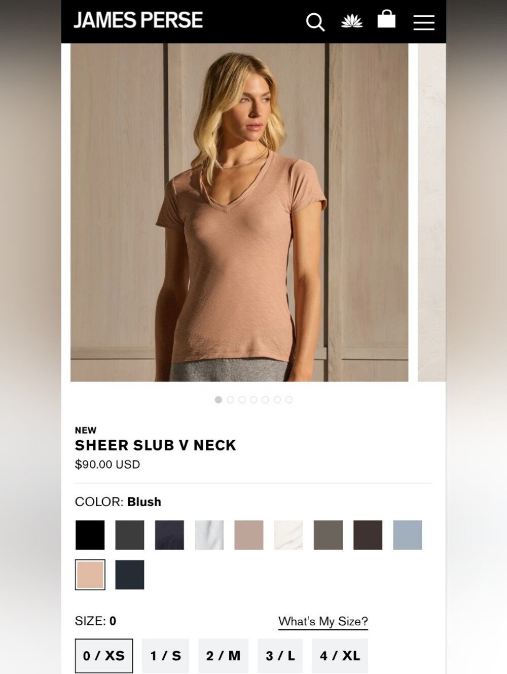 James Perse Sheer Slub V-Neck Tee